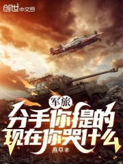 军旅分手你提的现在你哭什么小说