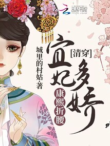 清穿:宜妃多娇,康熙折腰txt
