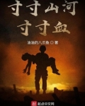 寸寸山河寸寸血