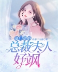 豪门甜婚:总裁夫人好飒