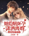 她隐瞒怀孕潇洒离婚,总裁满世界找