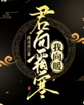 君向霜寒我向暖