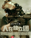 人在独立团,开局融合燕双鹰模板