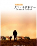 大卫·考波菲尔