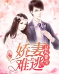 总裁猎情,娇妻难逃