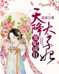 宠妃成狂:天降太子妃
