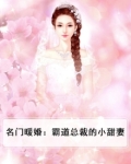 名门暖婚:霸道总裁的小甜妻