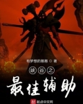 峡谷之最佳辅助