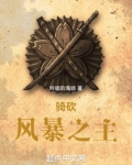 骑砍:风暴之主