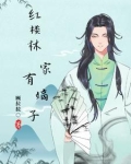 红楼之林家有嫡子