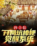 四合院:开局坑棒梗,觉醒系统!