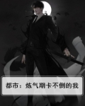 都市:炼气期卡不倒的我