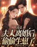凌总,夫人离婚后偷偷生崽了