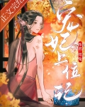 宠妃上位记