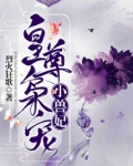 皇尊枭宠小兽妃