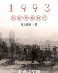 1993我的华娱时代