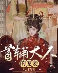 首辅大人的宠妾