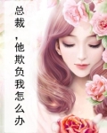 总裁,他欺负我怎么办