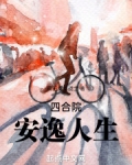 四合院:安逸人生