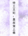 特工王妃:皇叔宠上瘾