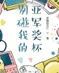 别碰我的亚军奖杯