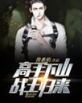 高手下山,战王归来
