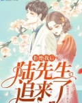 拒绝我后陆先生追来了