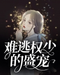 难逃权少的盛宠