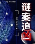 谜案追凶