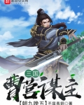 三国:曹营谋主,朝九晚五
