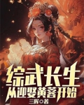 综武长生从迎娶黄蓉开始