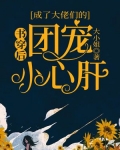 书穿后,成了大佬们的团宠小心肝