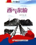 西气东输:西气东输工程开工建设